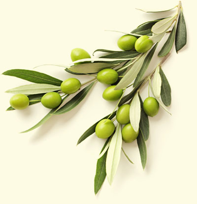 Relaxing and Tranquil Victoria Massage